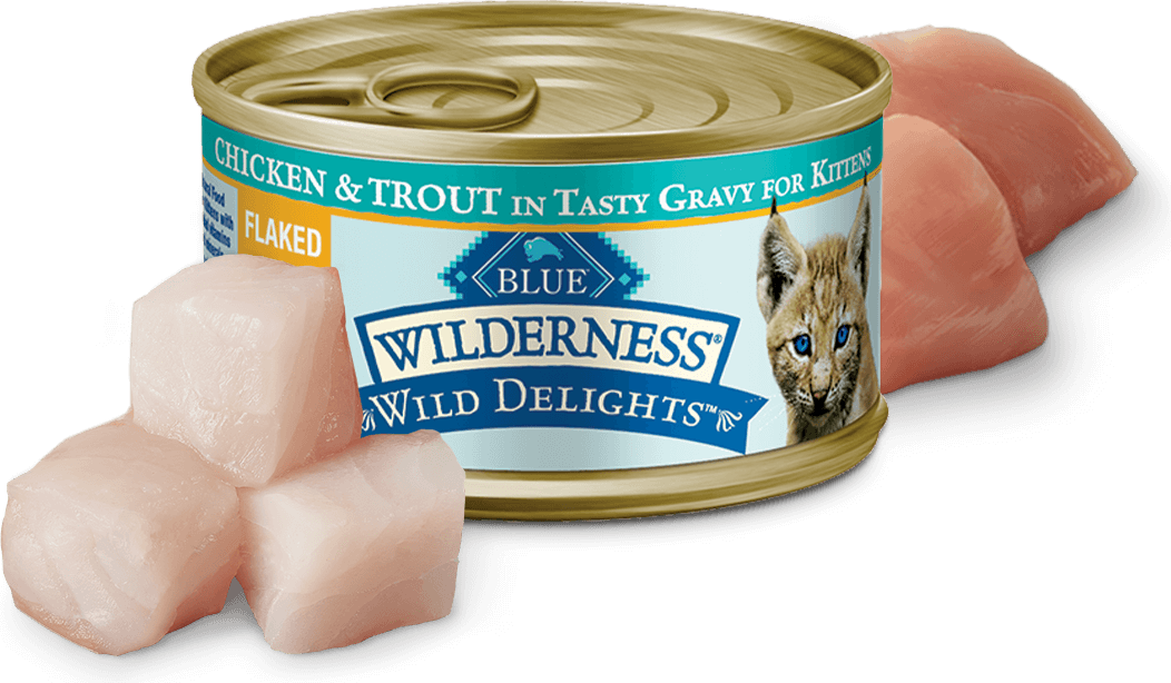BLUE Buffalo Cat Food Reviews